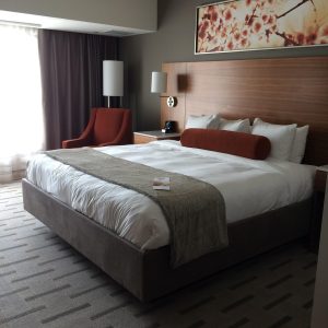 hotel, king bed, bedroom, hotel, king bed, king bed, king bed, king bed, king bed, bedroom